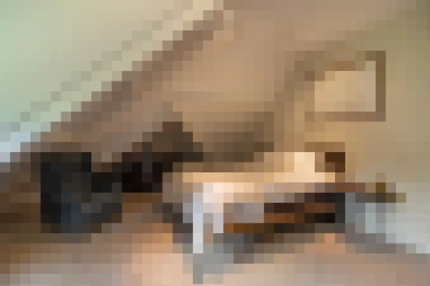 Berkenlaan 19 Oss thumbnail 17