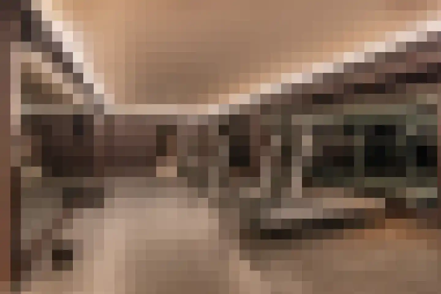 Berkenlaan 19 Oss thumbnail 18