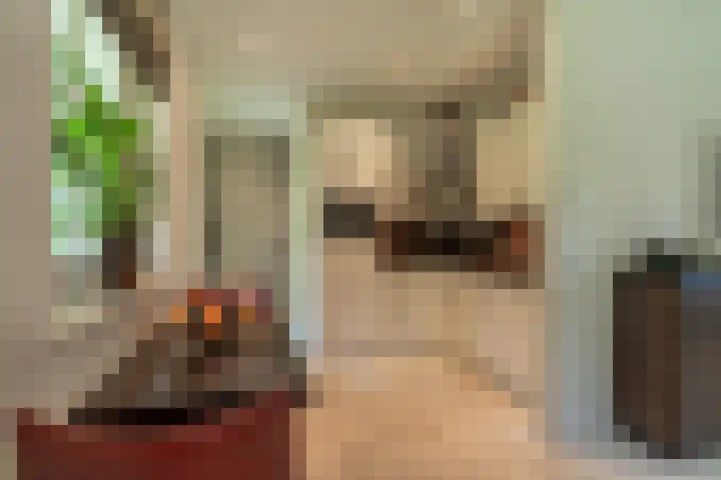 Berkenlaan 19 Oss thumbnail 24