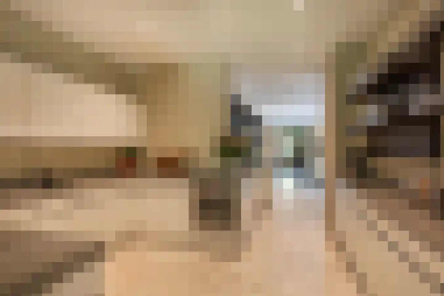 Berkenlaan 19 Oss thumbnail 25
