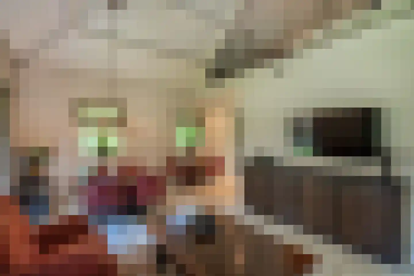 Berkenlaan 19 Oss thumbnail 26