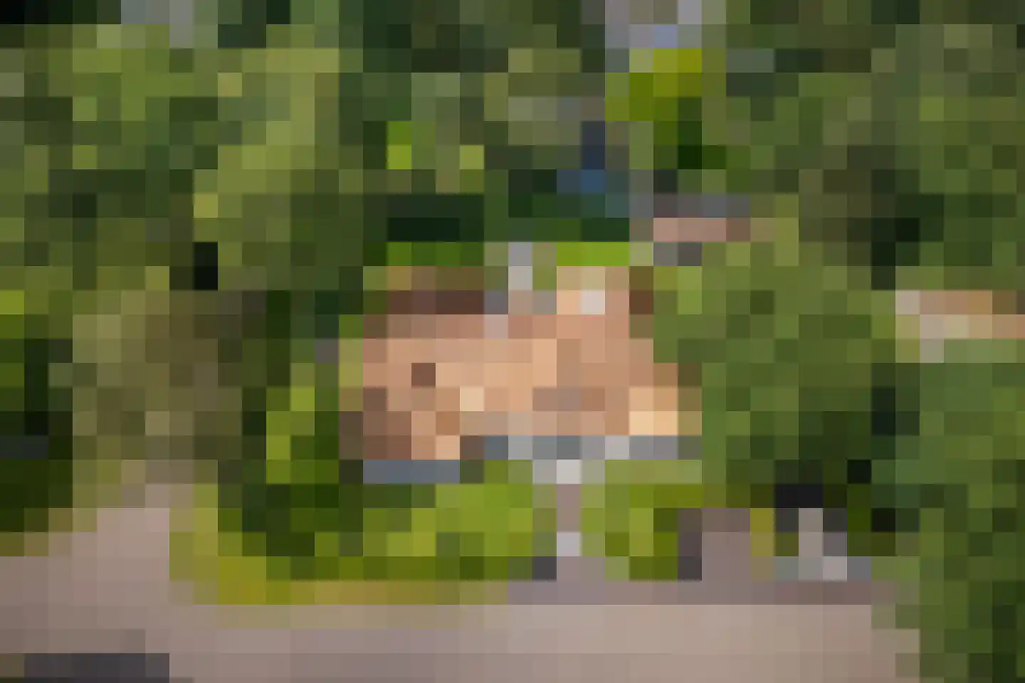 Berkenlaan 19 Oss thumbnail 31