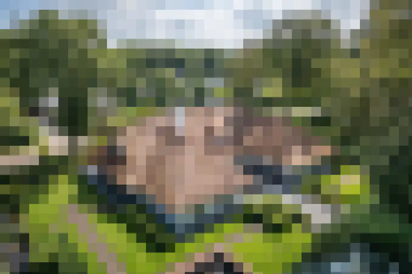 Berkenlaan 19 Oss thumbnail 32