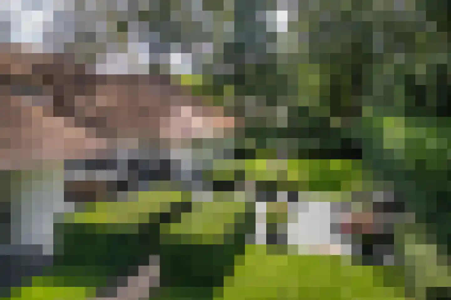 Berkenlaan 19 Oss thumbnail 33