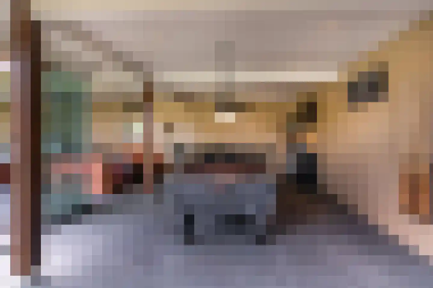 Berkenlaan 19 Oss thumbnail 36