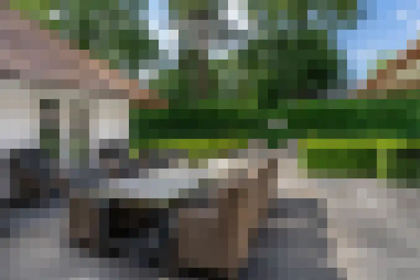 Berkenlaan 19 Oss thumbnail 39