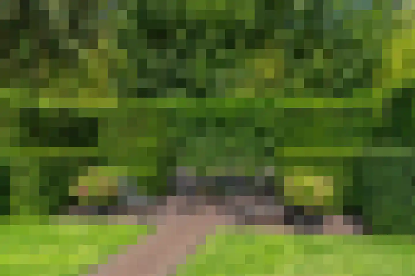 Berkenlaan 19 Oss thumbnail 43