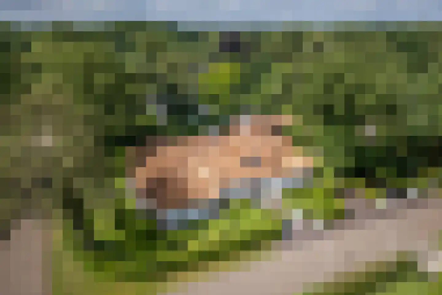 Berkenlaan 19 Oss thumbnail 46