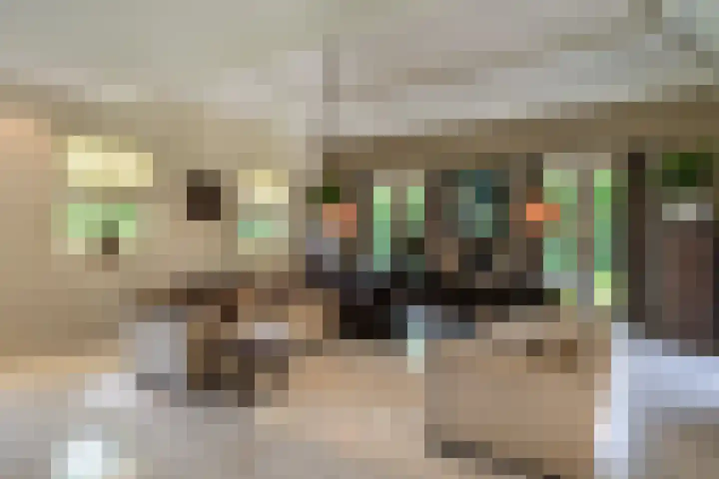 Berkenlaan 19 Oss thumbnail 7