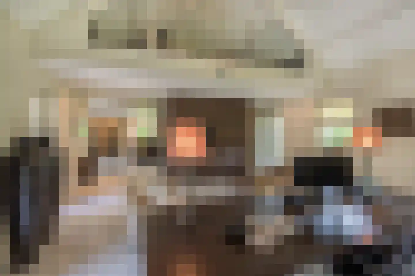 Berkenlaan 19 Oss thumbnail 8