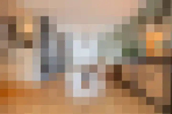 Berkenlaan 19 Schelluinen thumbnail 10