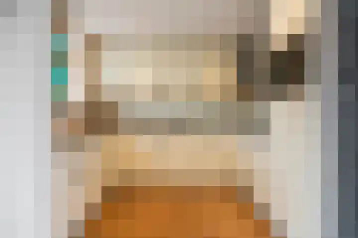 Berkenlaan 19 Schelluinen thumbnail 13