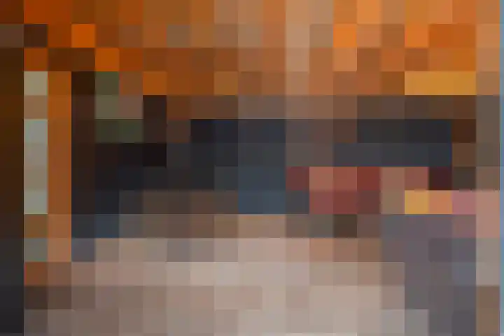 Berkenlaan 19 Schelluinen thumbnail 16