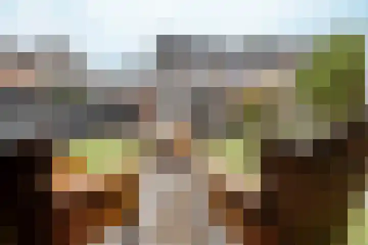 Berkenlaan 19 Schelluinen thumbnail 20