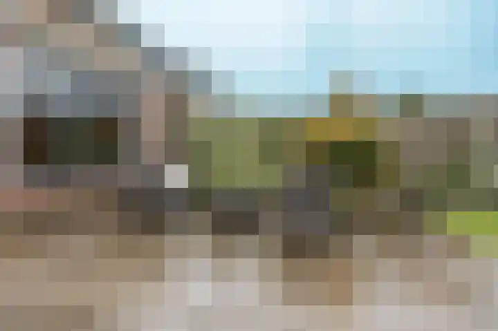 Berkenlaan 19 Schelluinen thumbnail 21