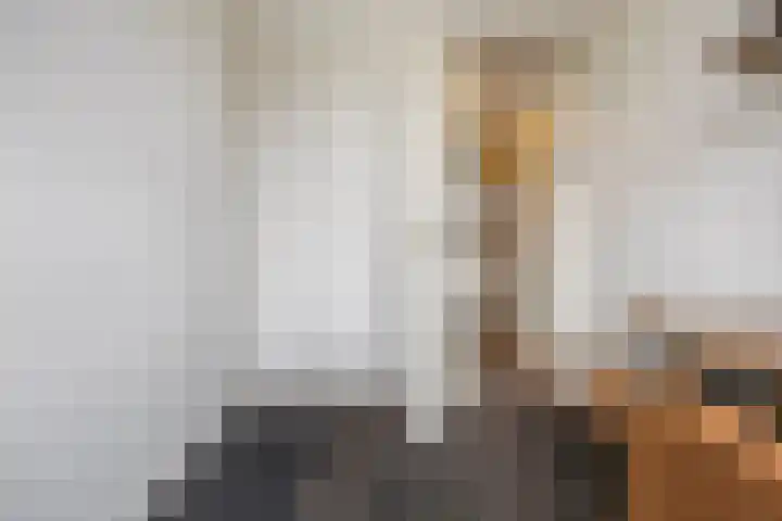 Berkenlaan 19 Schelluinen thumbnail 27
