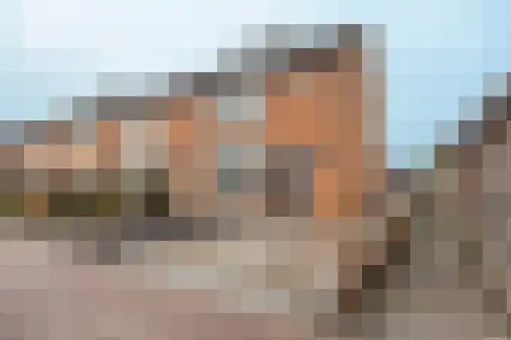Berkenlaan 19 Schelluinen foto 3