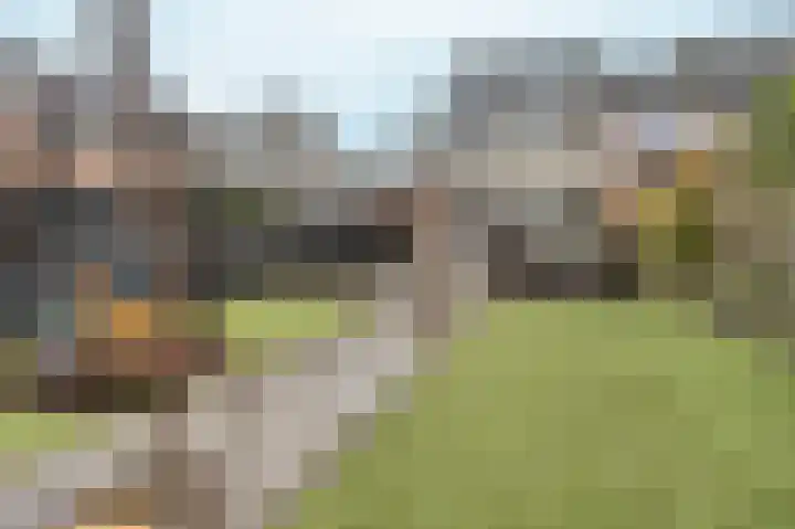 Berkenlaan 19 Schelluinen thumbnail 30