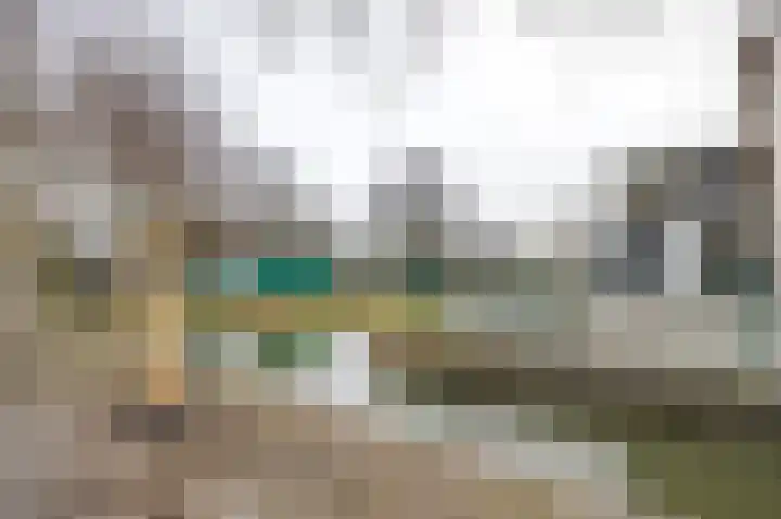 Berkenlaan 19 Schelluinen thumbnail 31