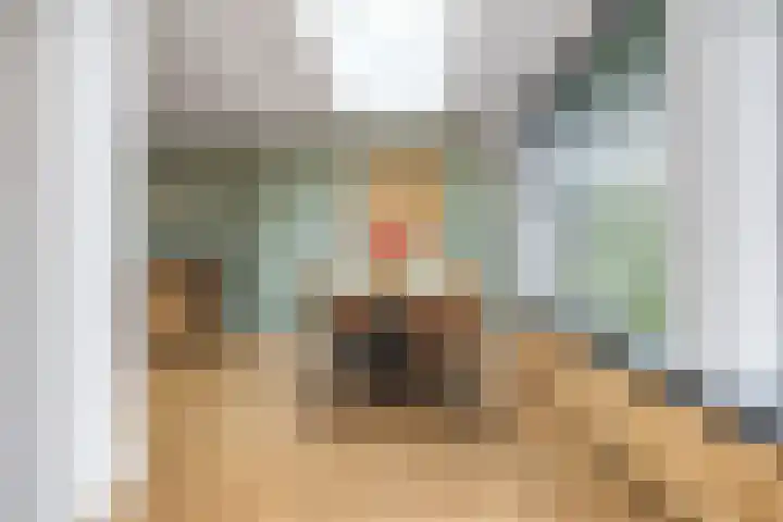 Berkenlaan 19 Schelluinen thumbnail 4