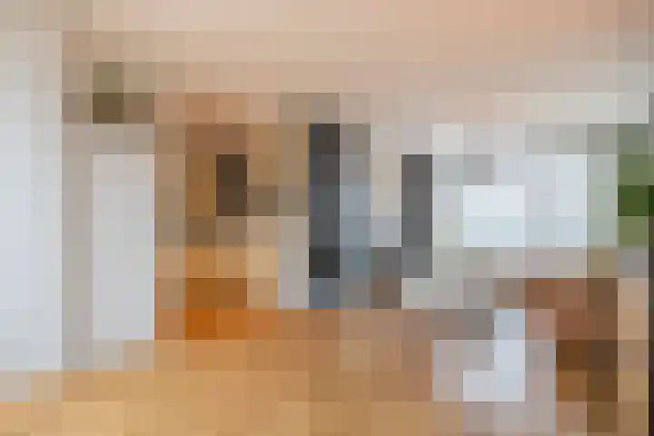 Berkenlaan 19 Schelluinen thumbnail 9