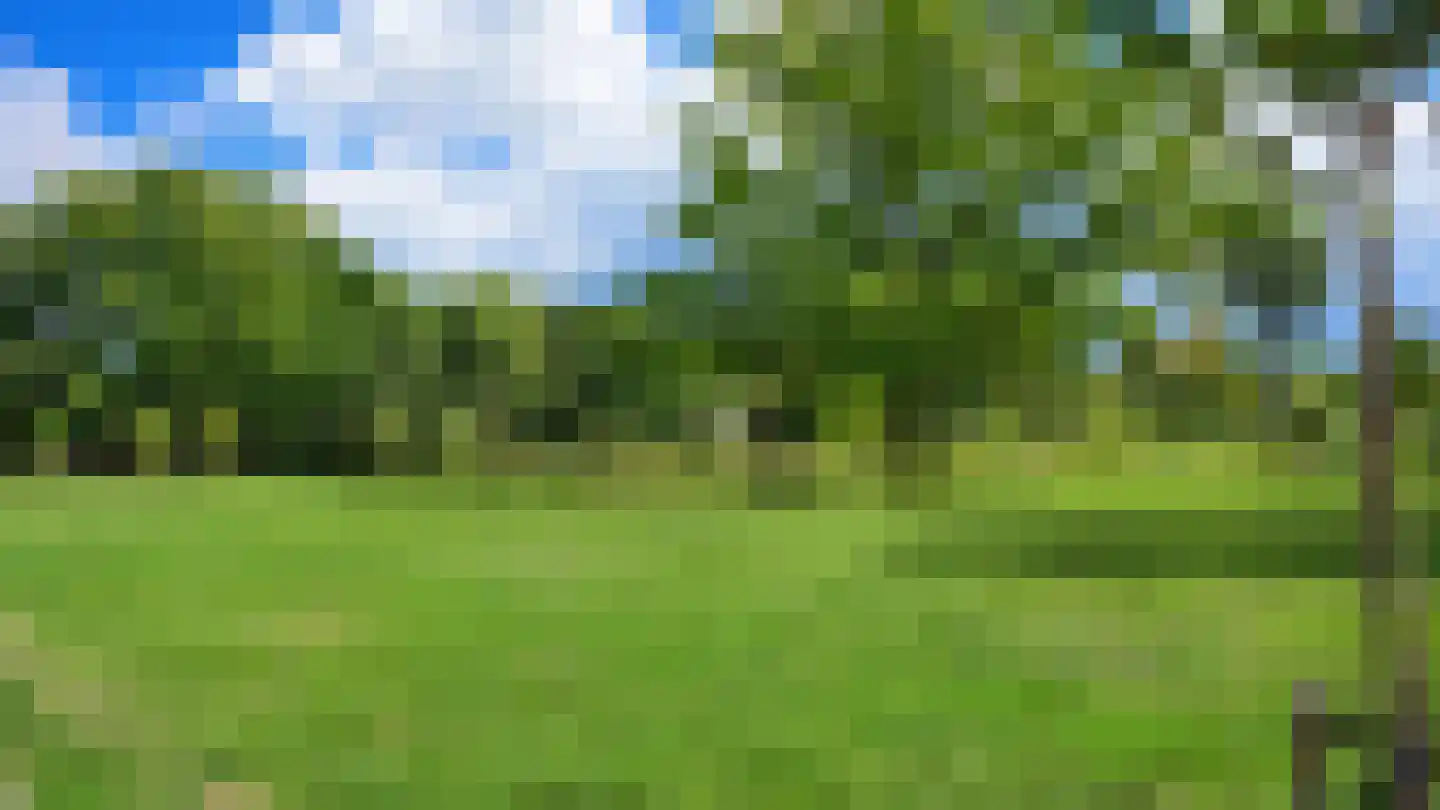 Berkenlaan 19 Sittard thumbnail 32