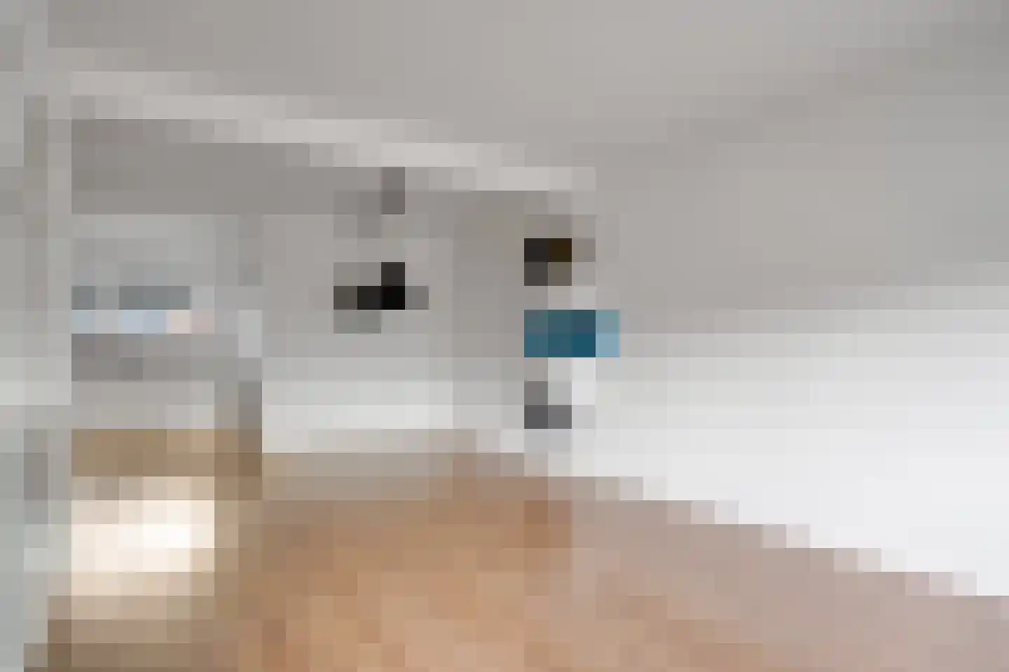 Berkenlaan 19 Zwartsluis thumbnail 10