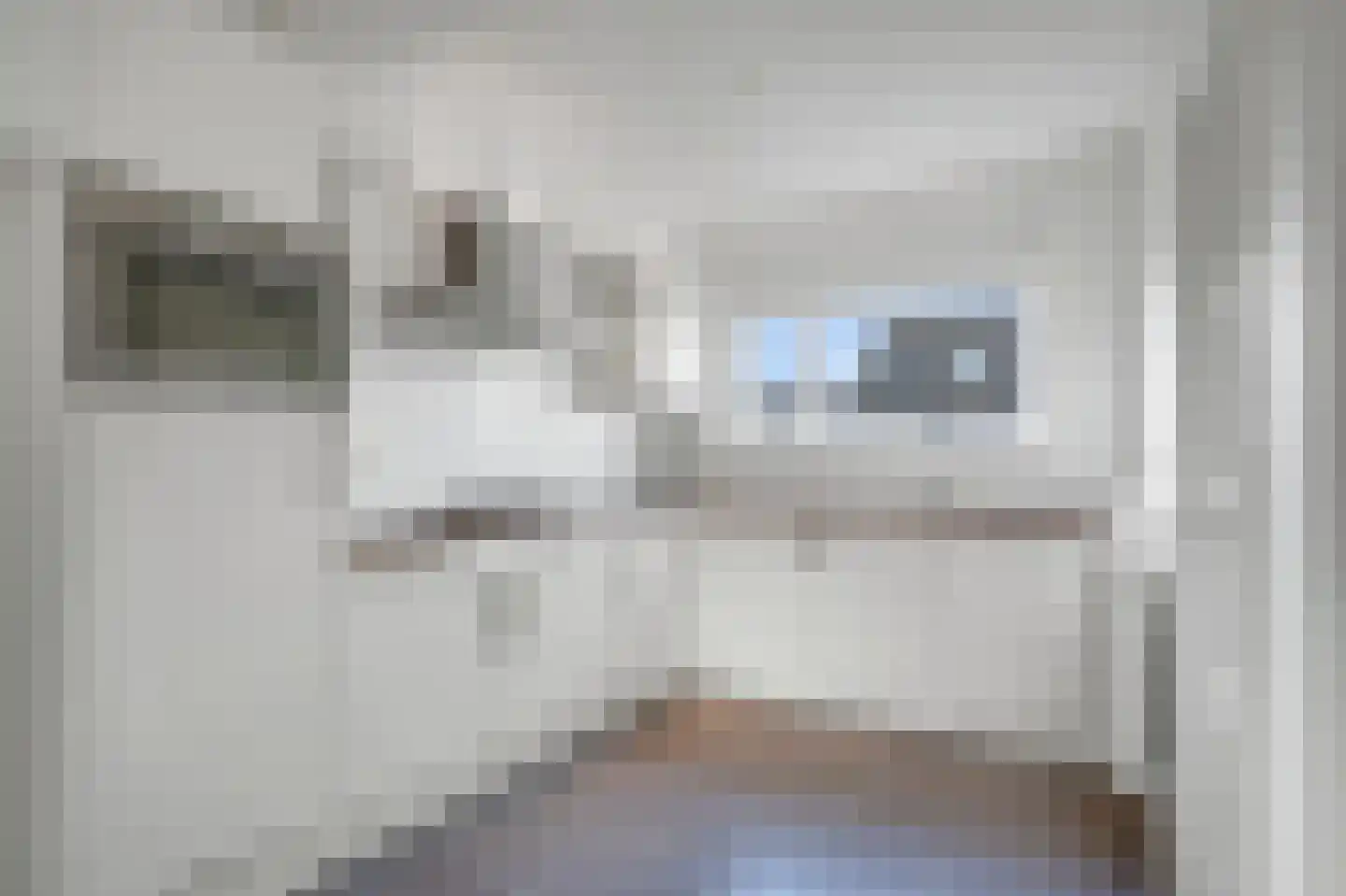 Berkenlaan 19 Zwartsluis thumbnail 14