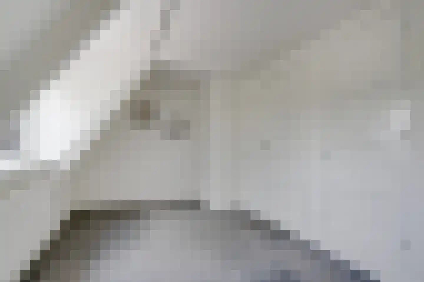 Berkenlaan 19 Zwartsluis thumbnail 28