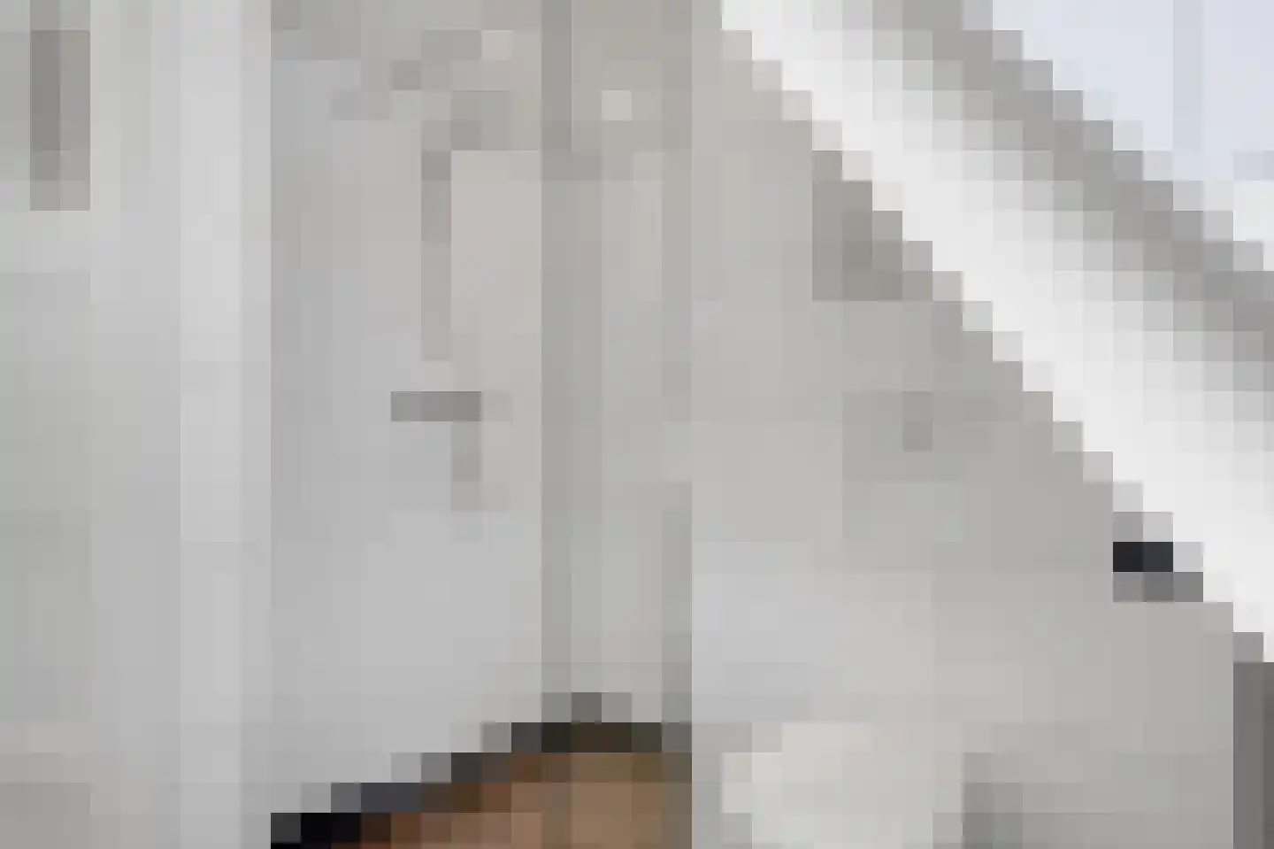 Berkenlaan 19 Zwartsluis thumbnail 32