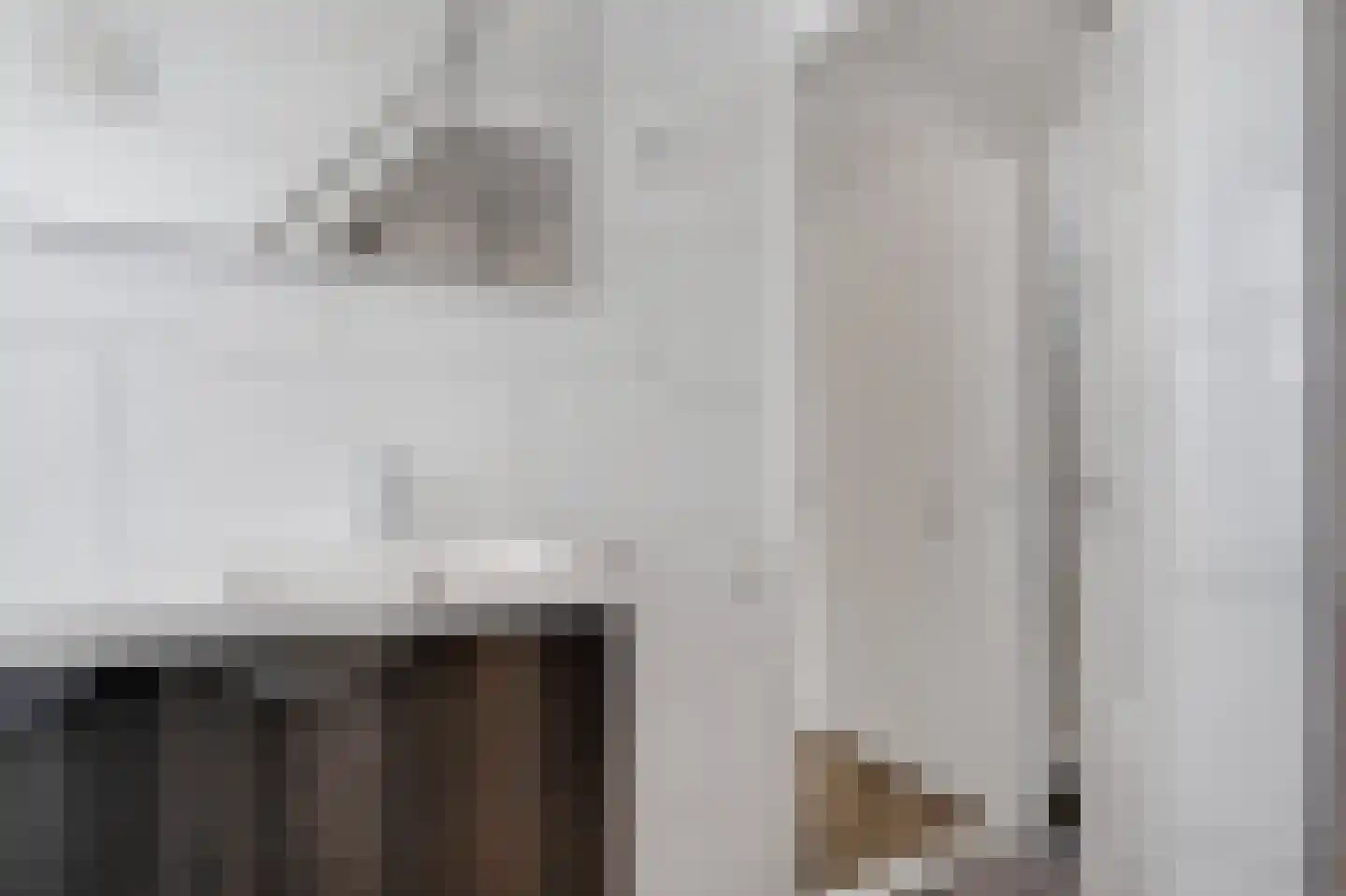 Berkenlaan 19 Zwartsluis thumbnail 33