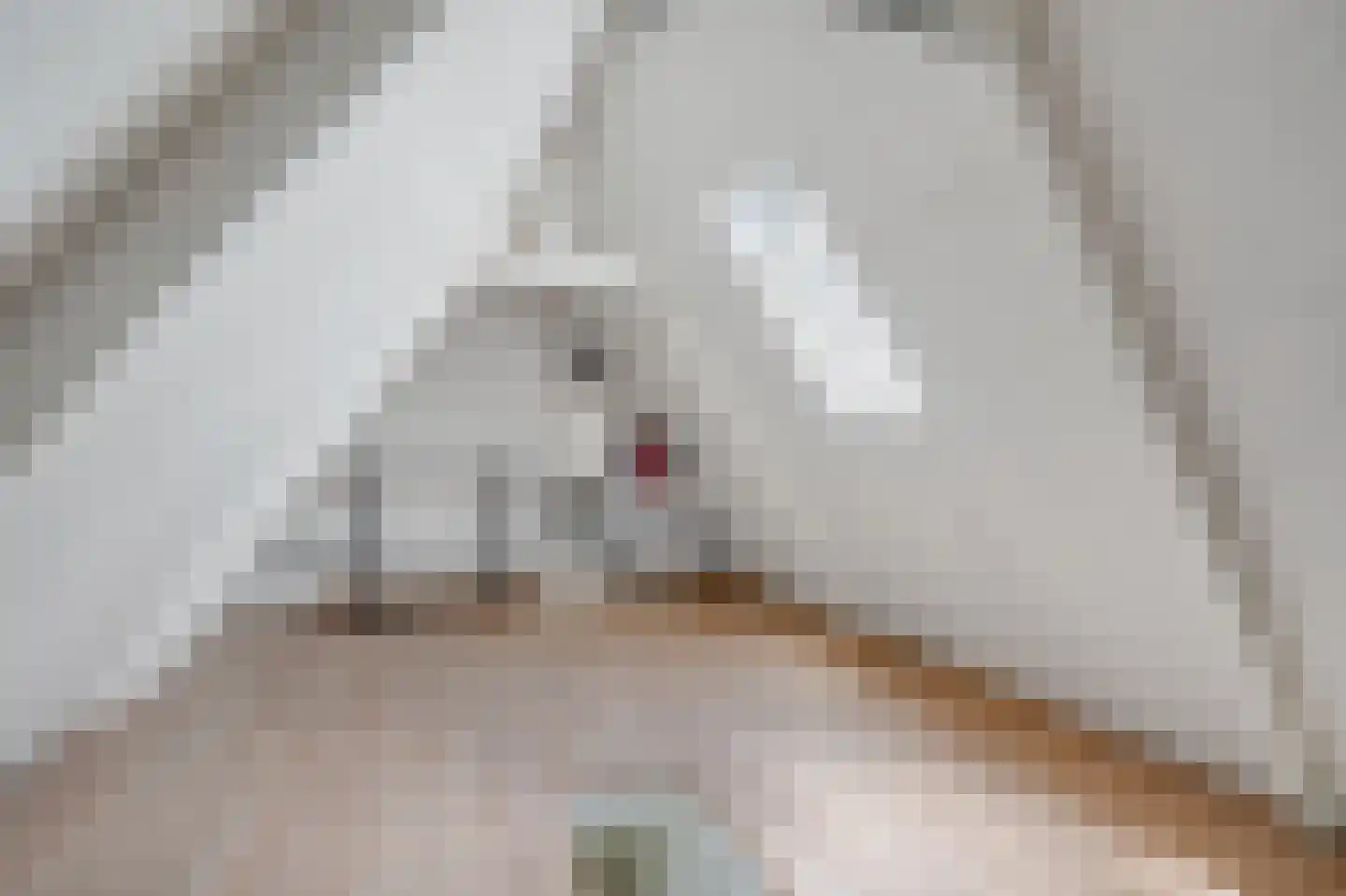 Berkenlaan 19 Zwartsluis thumbnail 34