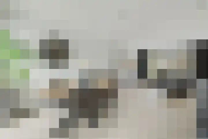 Berkenlaan 194 Zundert thumbnail 11