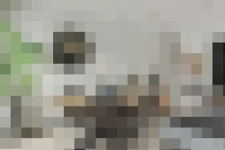 Berkenlaan 194 Zundert thumbnail 12
