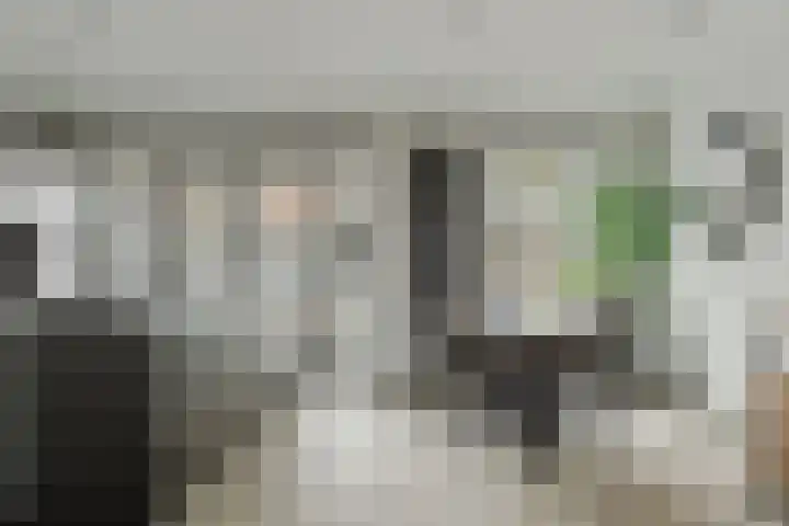 Berkenlaan 194 Zundert thumbnail 14