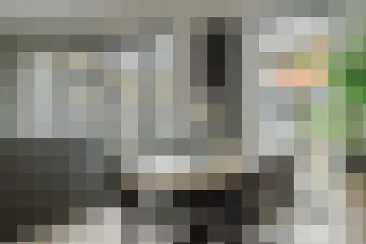 Berkenlaan 194 Zundert thumbnail 15