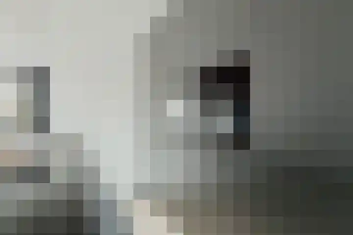 Berkenlaan 194 Zundert thumbnail 17