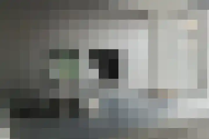 Berkenlaan 194 Zundert thumbnail 18