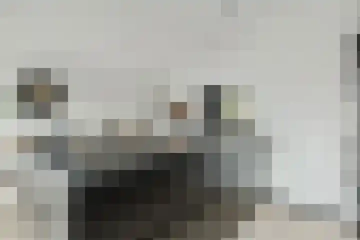 Berkenlaan 194 Zundert thumbnail 19