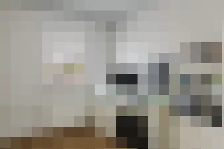 Berkenlaan 194 Zundert thumbnail 31
