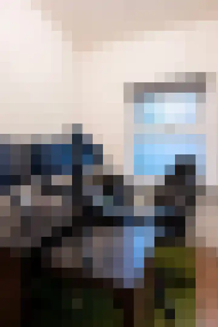 Berkenlaan 195 Zutphen thumbnail 13