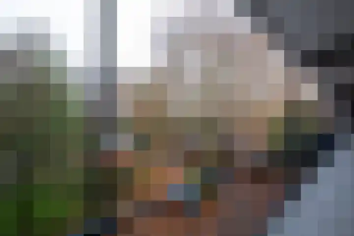 Berkenlaan 195 Zutphen thumbnail 19