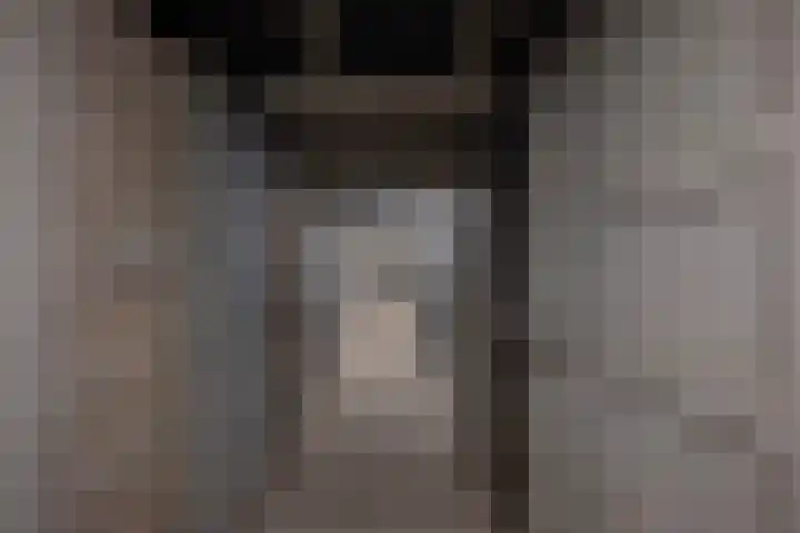 Berkenlaan 195 Zutphen thumbnail 22