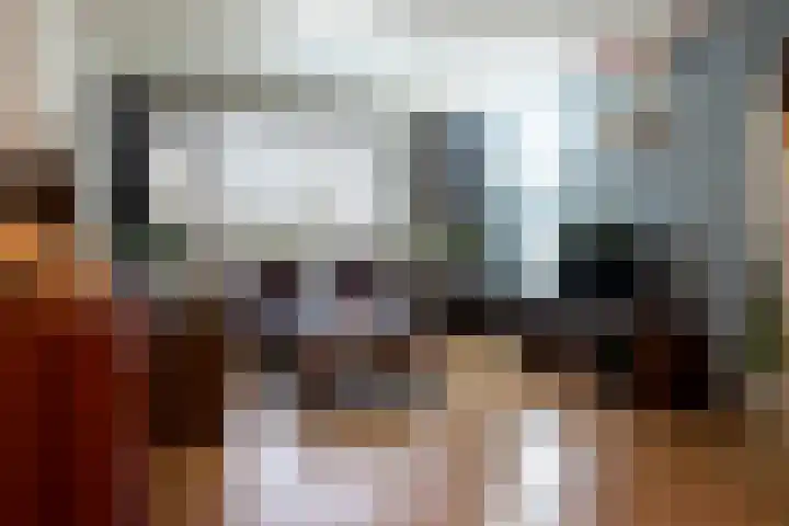 Berkenlaan 195 Zutphen thumbnail 4