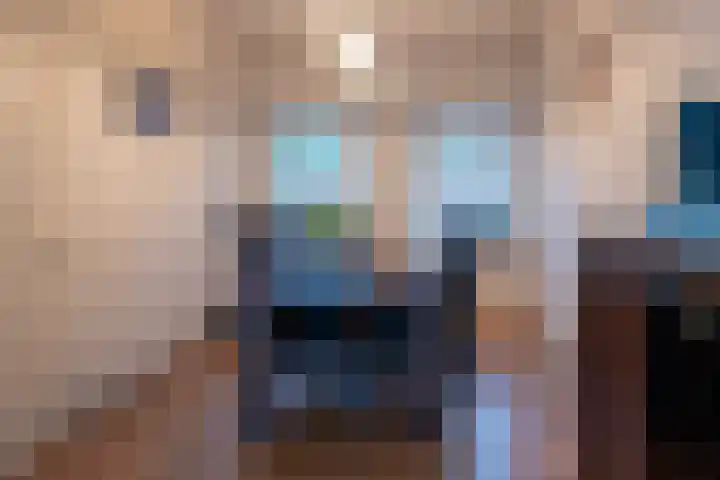 Berkenlaan 195 Zutphen thumbnail 6
