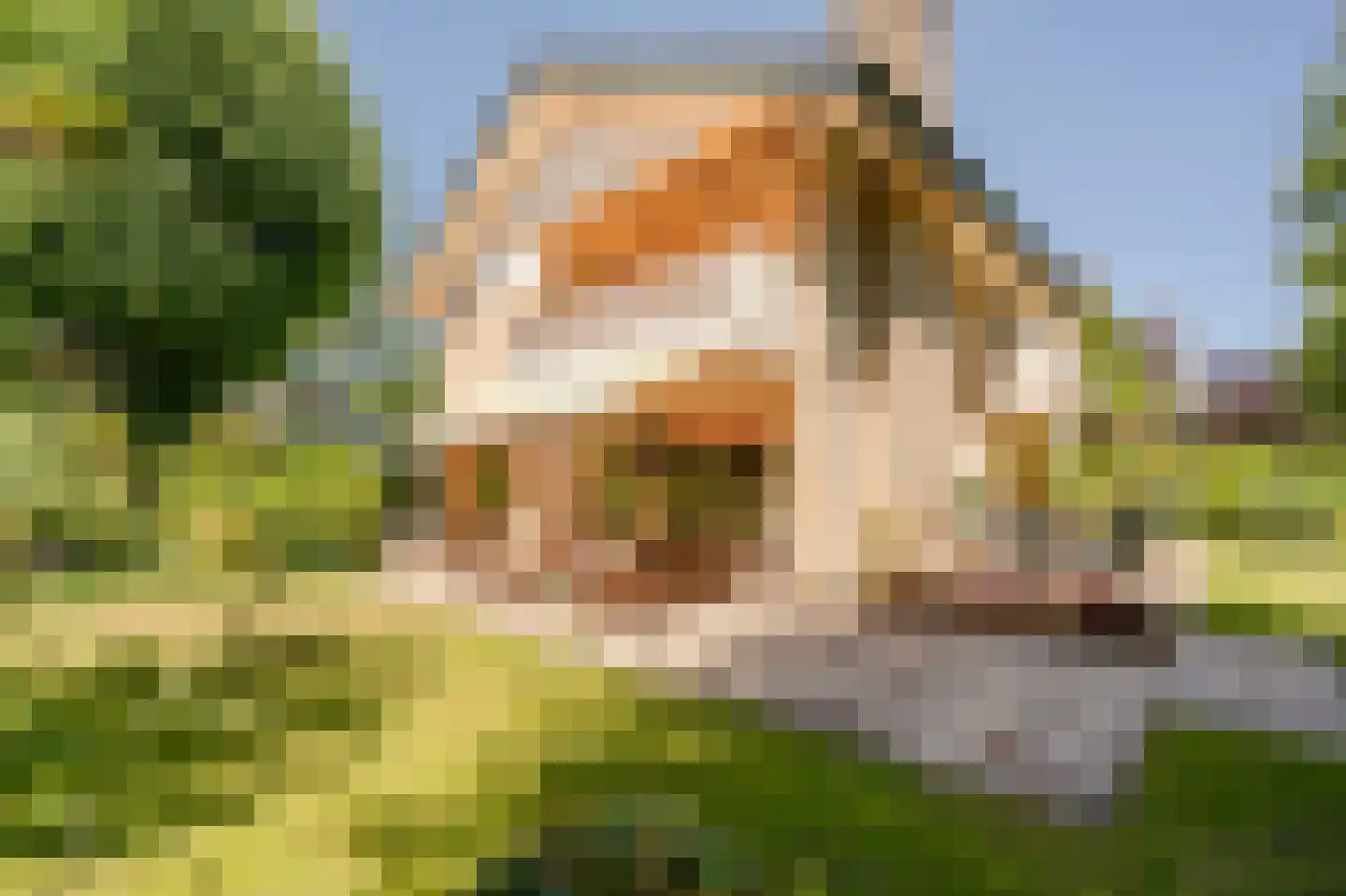 Berkenlaan 2 en Wassenaar