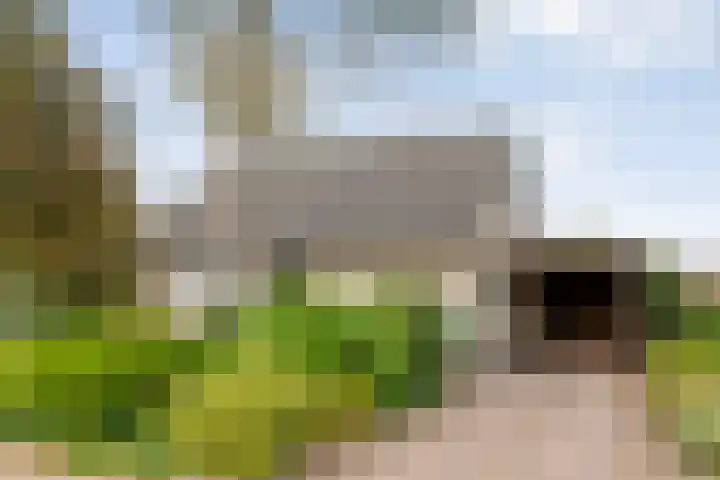 Berkenlaan 2 en Hardenberg