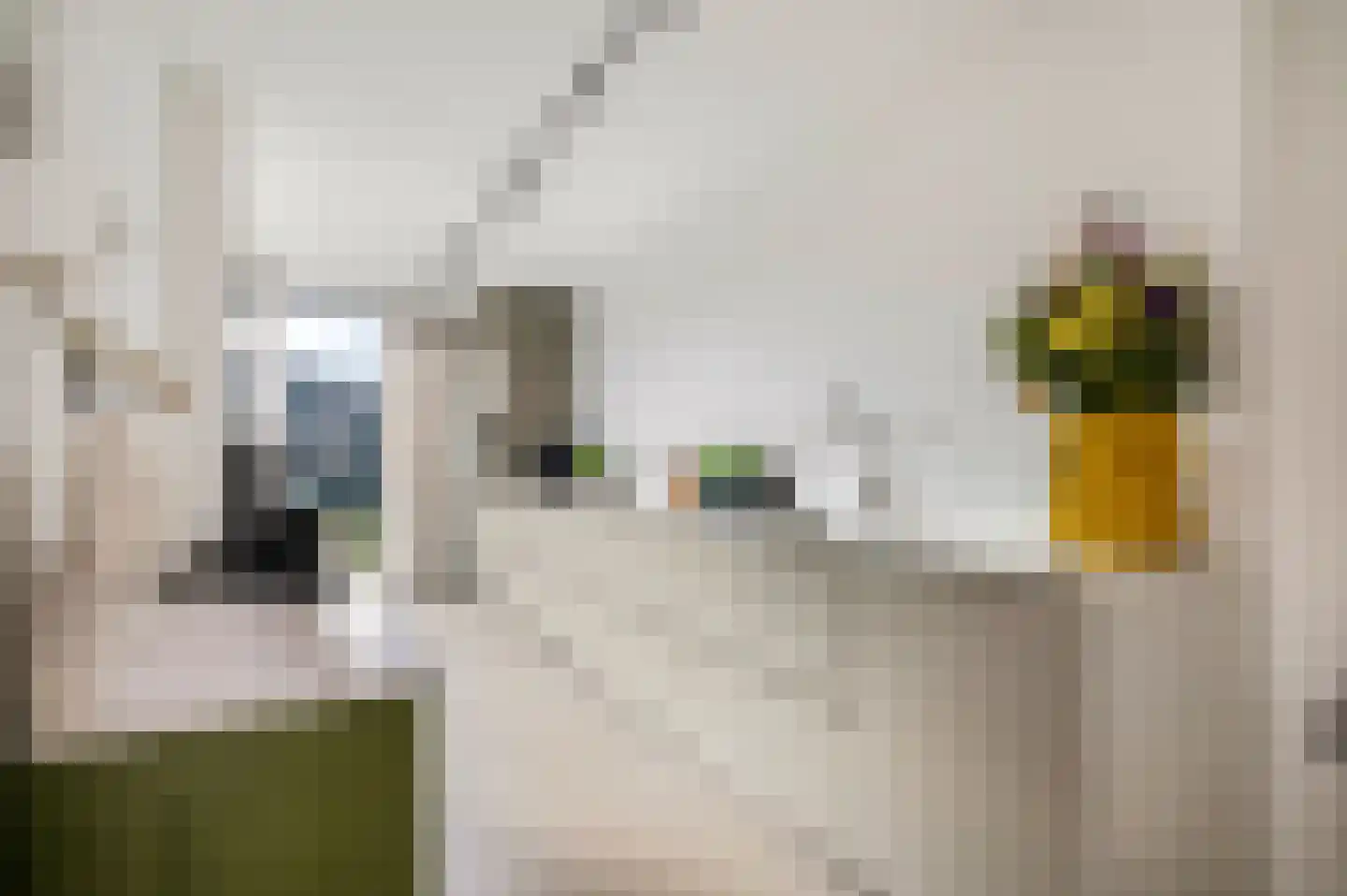 Berkenlaan 2 Ede thumbnail 13
