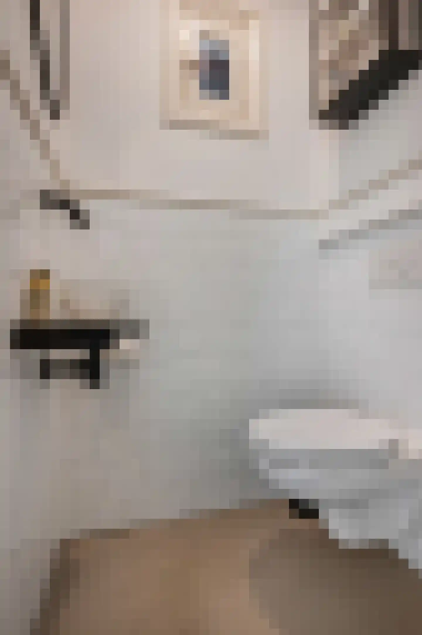 Berkenlaan 2 Ede thumbnail 20