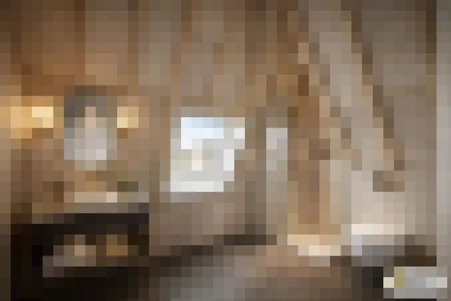 Berkenlaan 2 Ede thumbnail 45